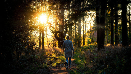 Mooiste wandelroutes in Nederland