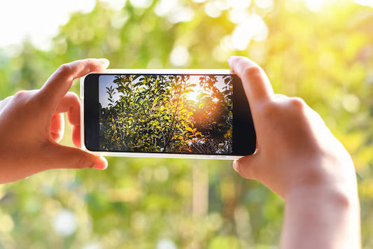 Hoe maak je leuke vakantiefoto's met je smartphone?
