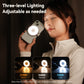 Telesin C03 MagSafe Selfie Light met spiegel – Zilver