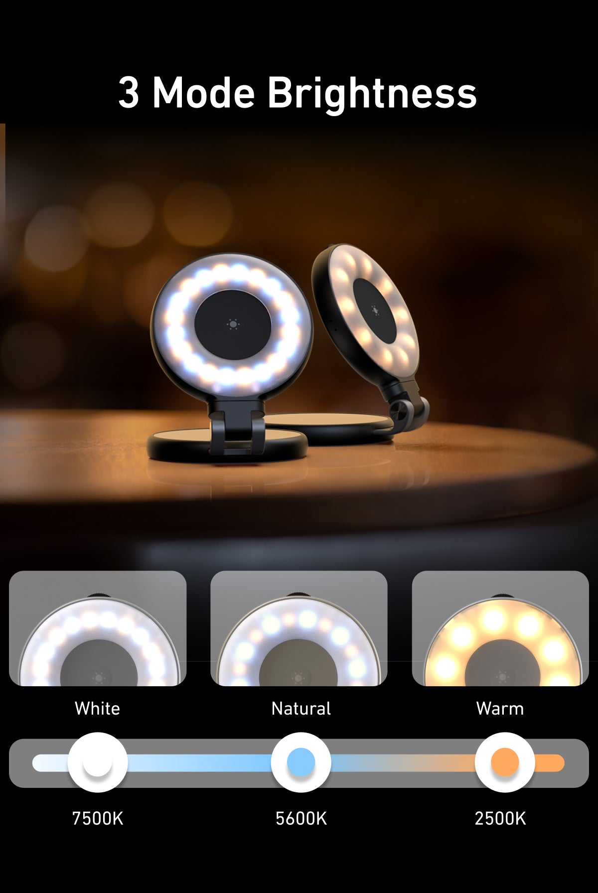 Telesin C03 Rotatable MagSafe Selfie Light + Mirror - Black