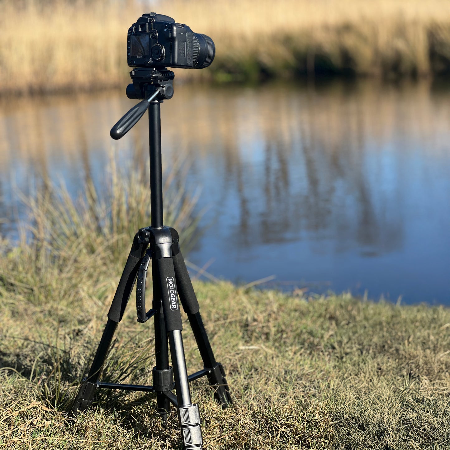 MOJOGEAR 177cm 2-in-1 camera en telefoon statief: driepoot & monopod - Grote statieven