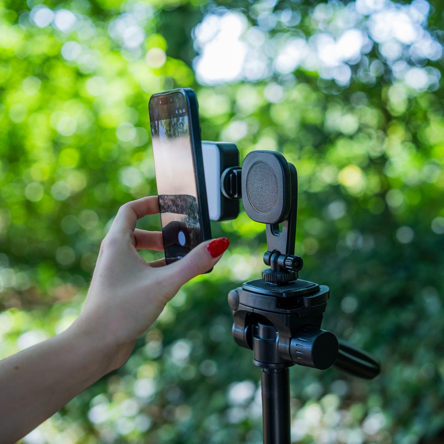 MOJOGEAR Magnetische telefoonhouder voor statief met cold shoe-mount - Kantelbaar - Telefoonhouders
