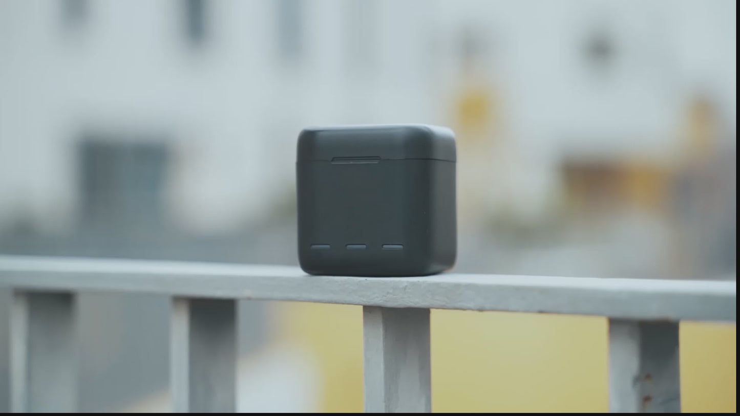 Telesin Charging box with 2 batteries for GoPro 9/ 10 / 11 / 12